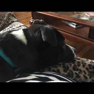 Meet your Posher, Lisa